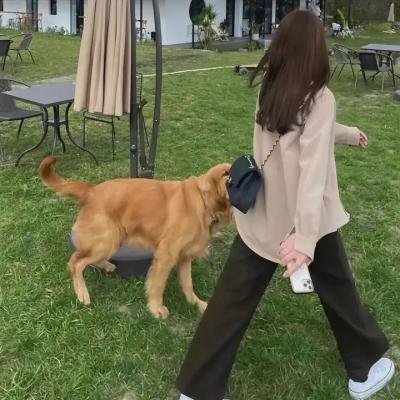 破产姐妹第二季